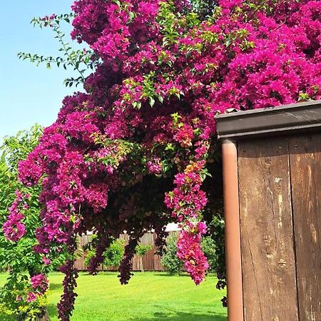 Villa Lucilla Altavilla Silentina Zewnętrze zdjęcie