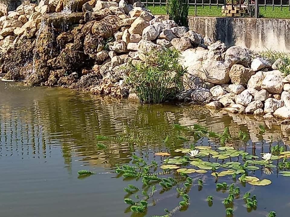 Villa Lucilla Altavilla Silentina Zewnętrze zdjęcie
