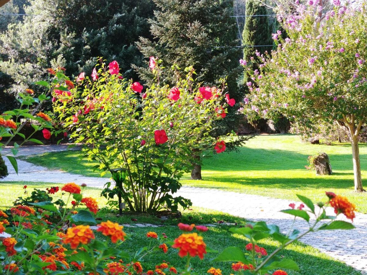 Villa Lucilla Altavilla Silentina Zewnętrze zdjęcie