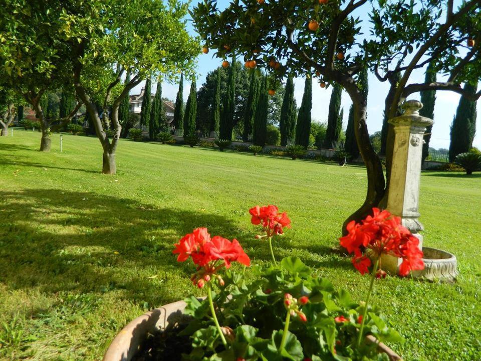 Villa Lucilla Altavilla Silentina Zewnętrze zdjęcie