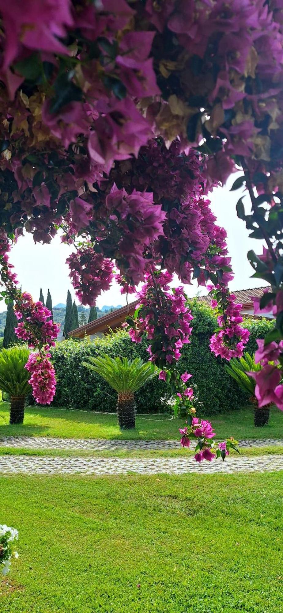 Villa Lucilla Altavilla Silentina Zewnętrze zdjęcie