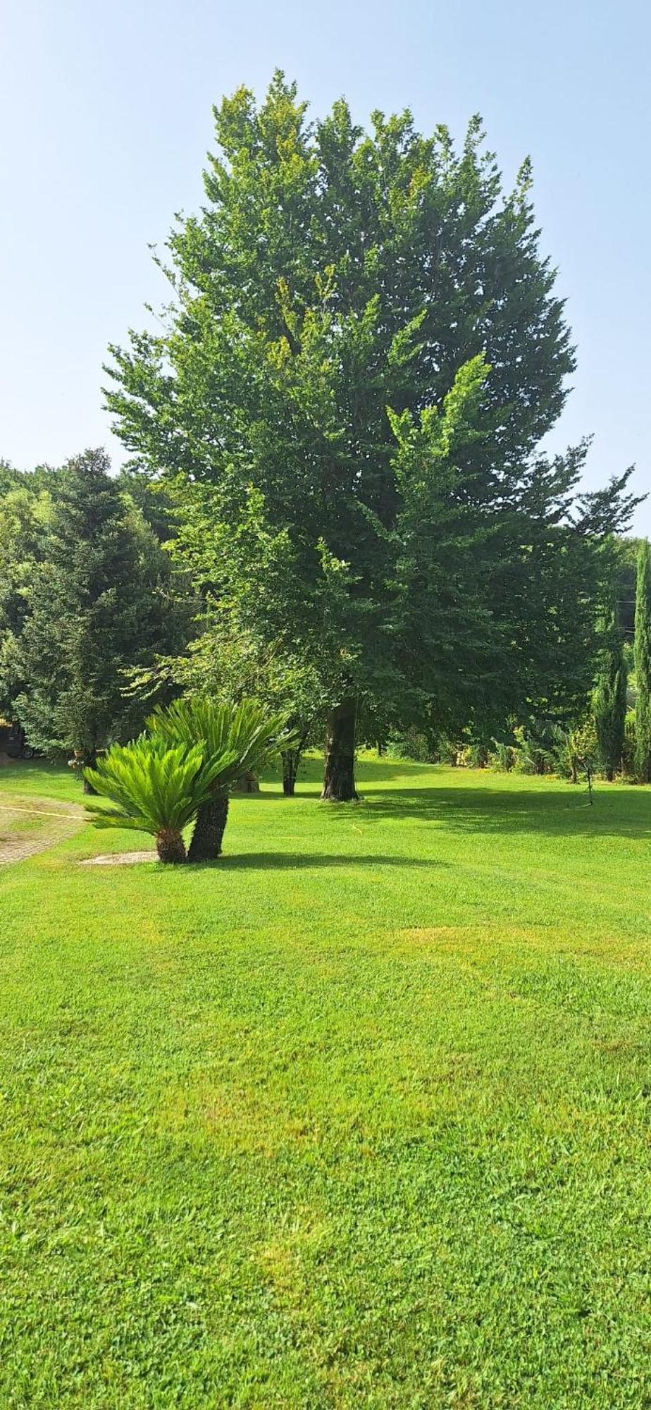 Villa Lucilla Altavilla Silentina Zewnętrze zdjęcie
